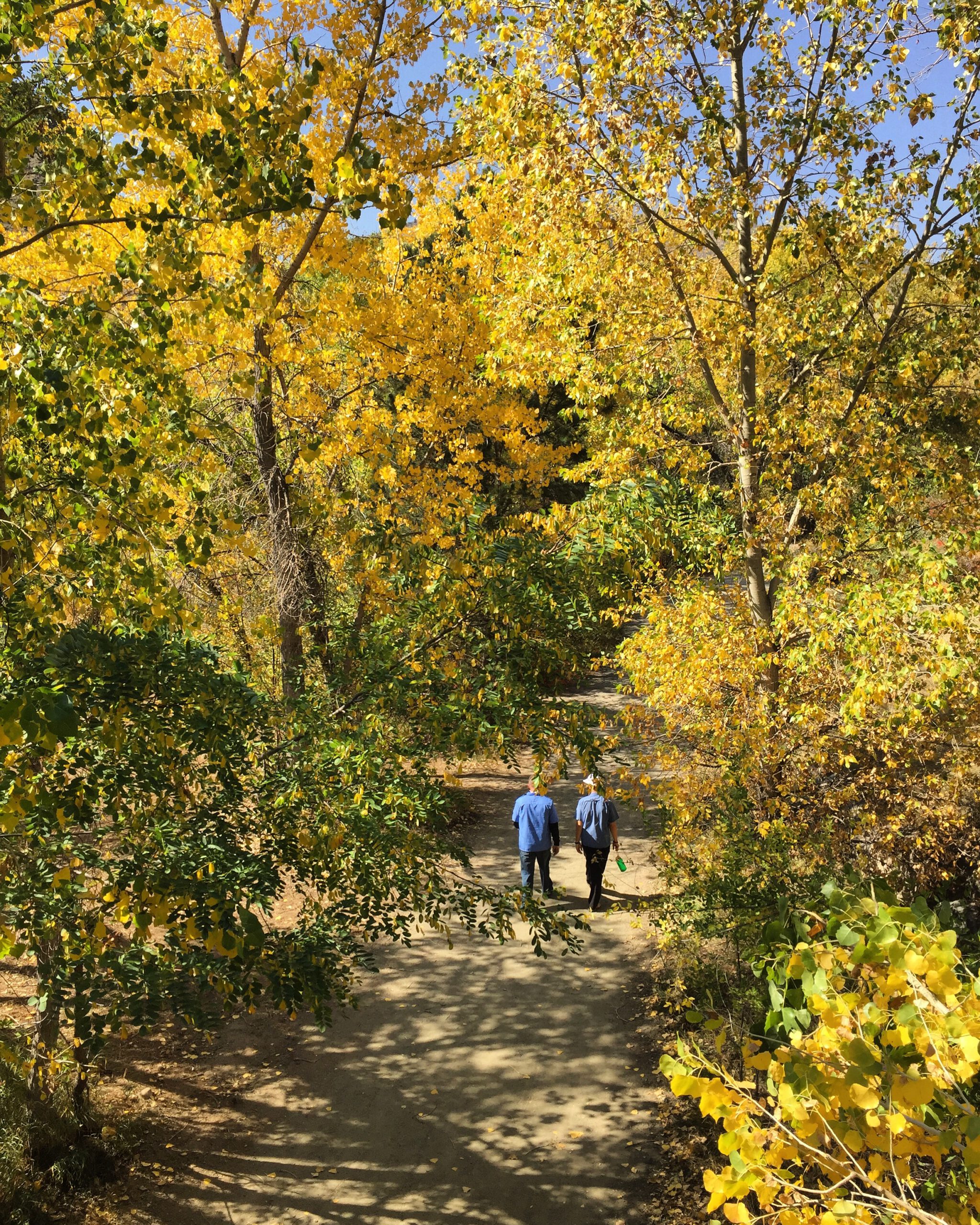 Clear Creek Fall