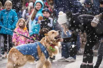 Olde Golden Holiday Parade Golden Retriever