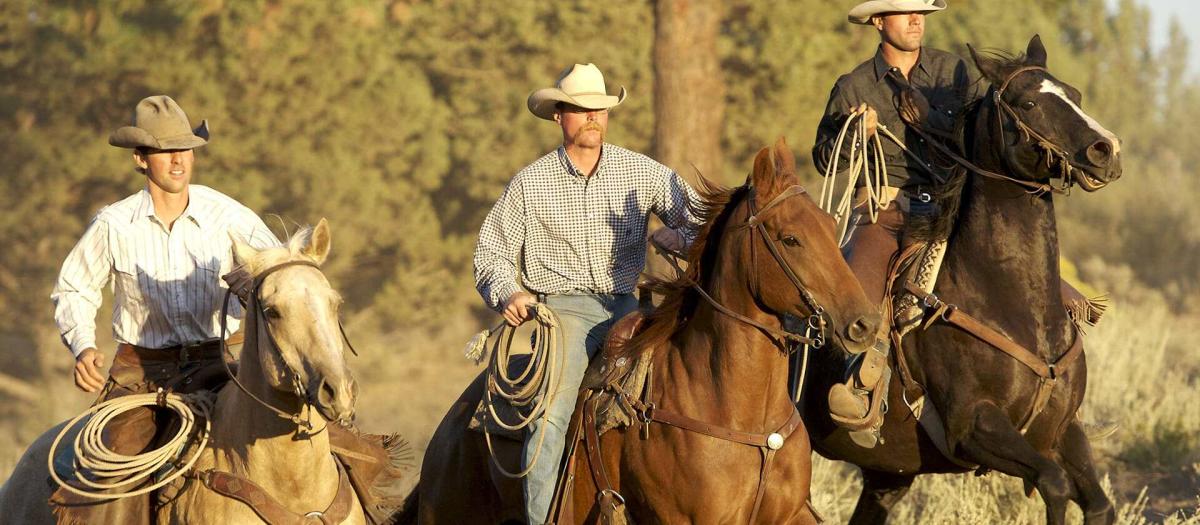 Cowboys riding Horses
