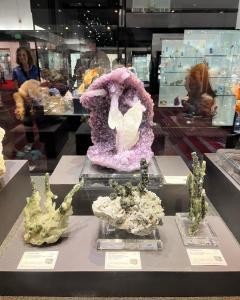 Display of colorful rocks at Mines Museum of Earth Science
