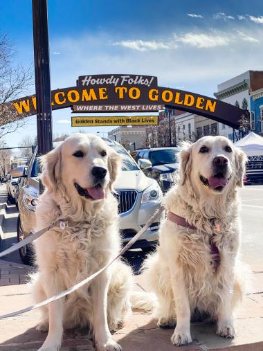 Two Golden Retrievers Under the Welcome to Golden Arch